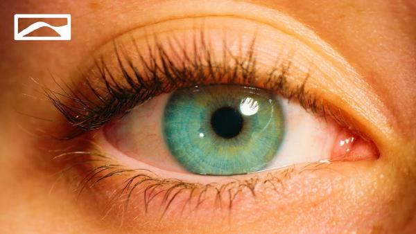 O que é ser fora da curva Vídeo Campanha Mendes Construtora.jpg