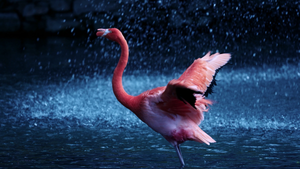 concept02.png